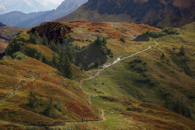 Hiking Tours